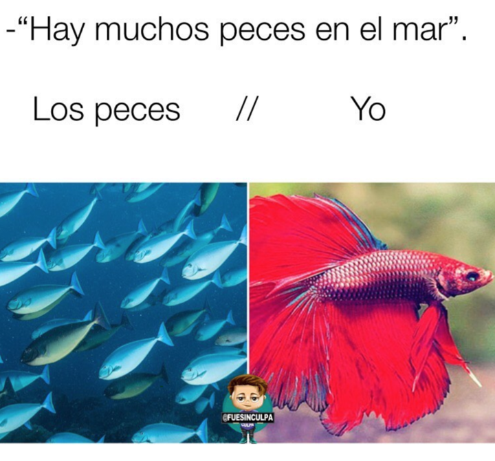 Ser modesta no es lo mio