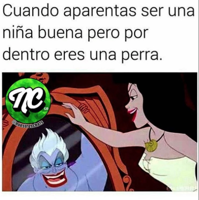 100% esa perra